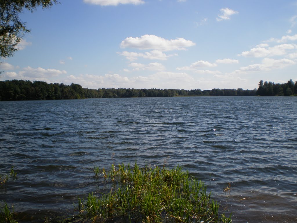 Trakai. Vėjas šiaušia bangeles... by Gintarėlė Jurkevičie…