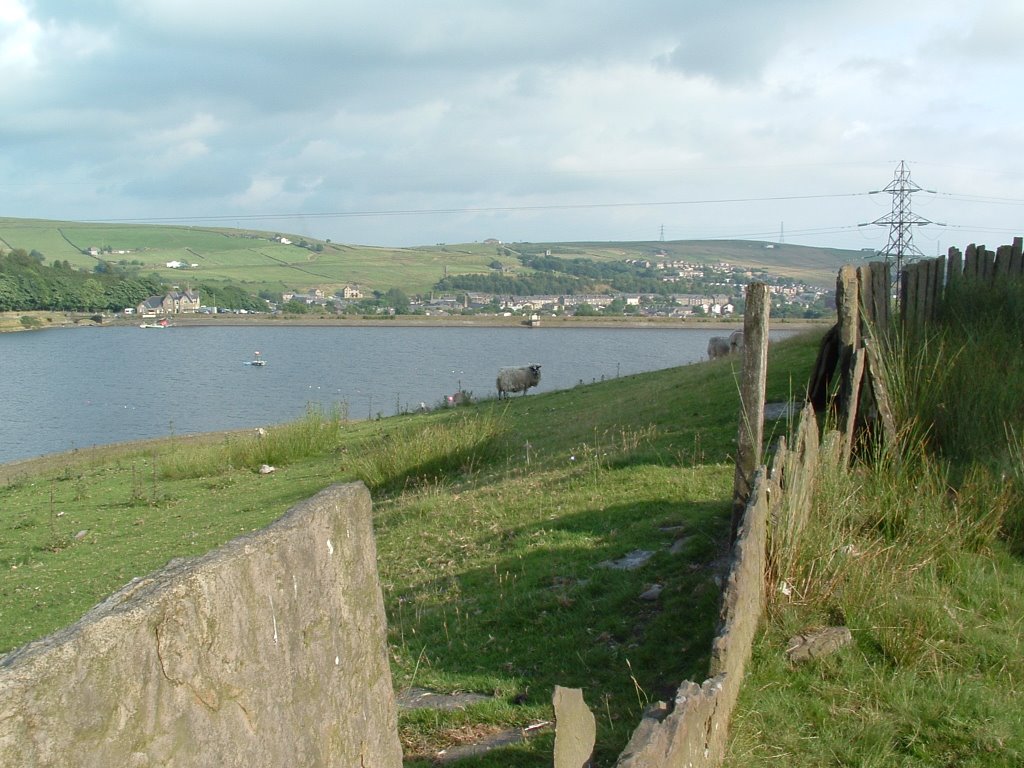 Whitworth from Cowm reservoir by cholmoth