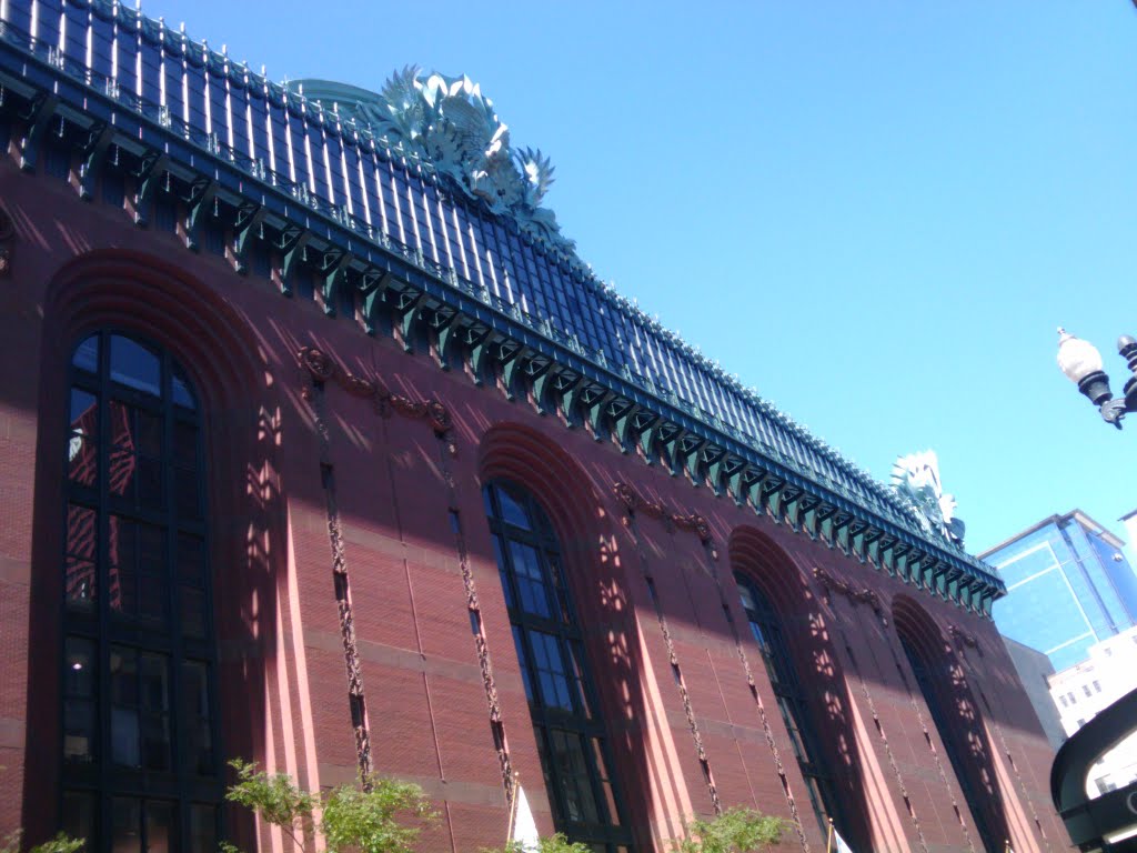 Chicago Public Library by Nick Argoudelis