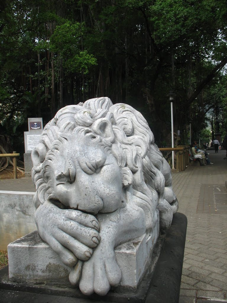 Lion dormant à Port Louis by Goyan