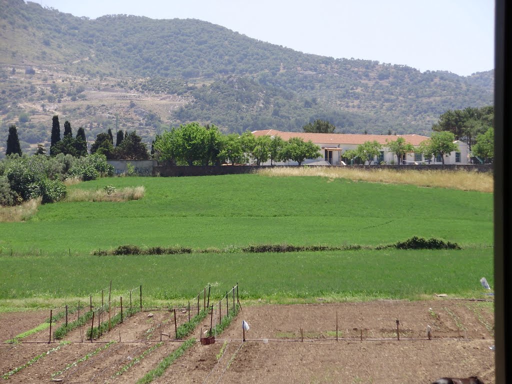 View to school by Δεληγίαννης Στυλιανό…