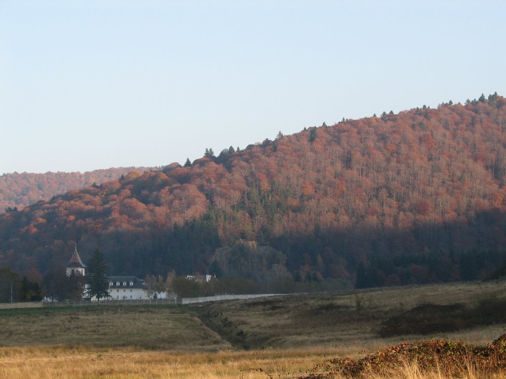 Toamna, la Manastirea Brancoveanu by Liviu Chirilă