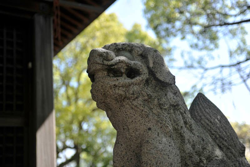 波折神社　Namiori Shrine by 石津安信