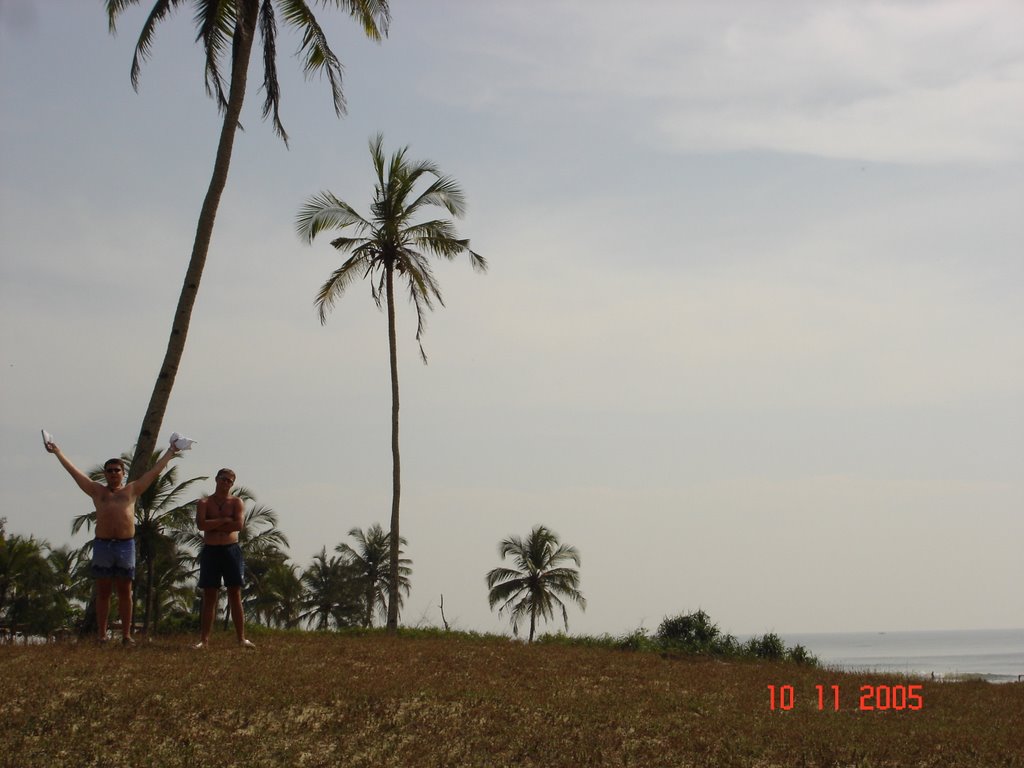 Palm forest near The Kenilworht Beach by vladislav bizenkov