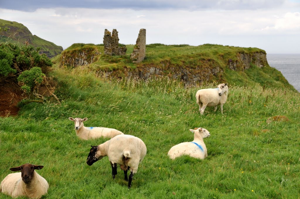 Dunseverick Castle in County Antrim, Northern Ireland. UK. by Nicola e Pina Irlanda 2009