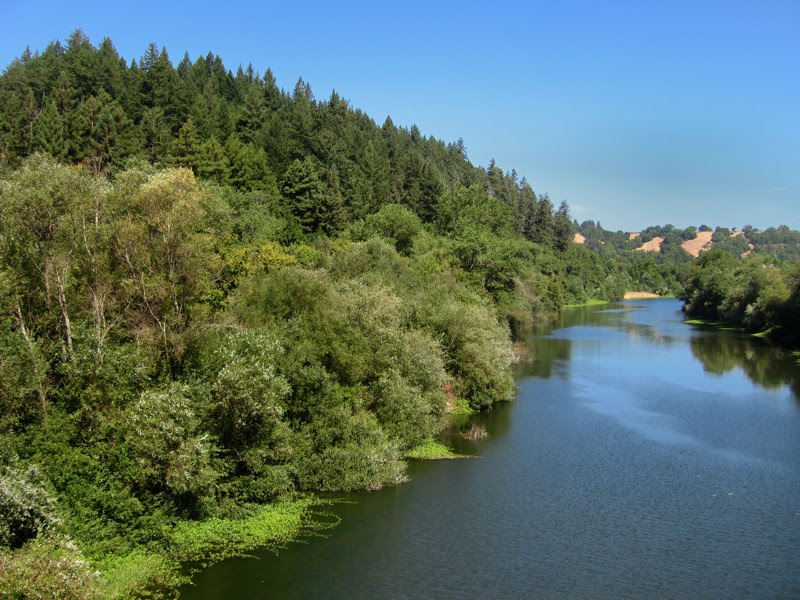 Redwoods along the Russian River by Kazmaniac