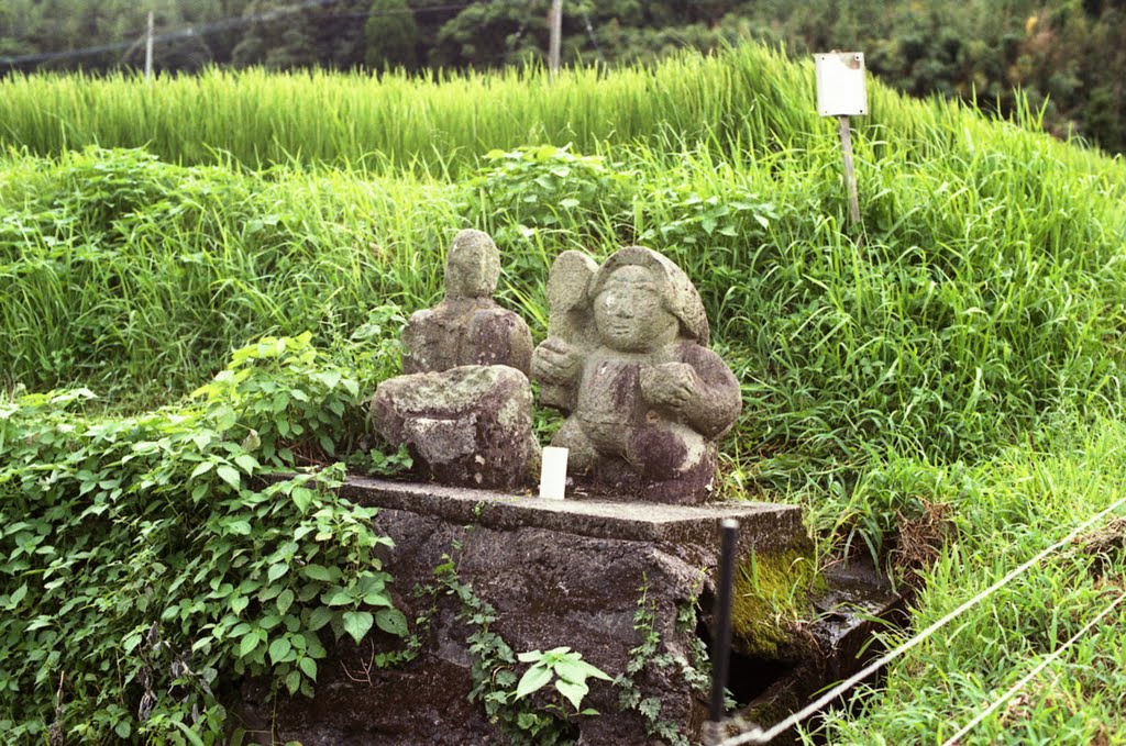 たのかん（田の神）さぁ by shikabane taro