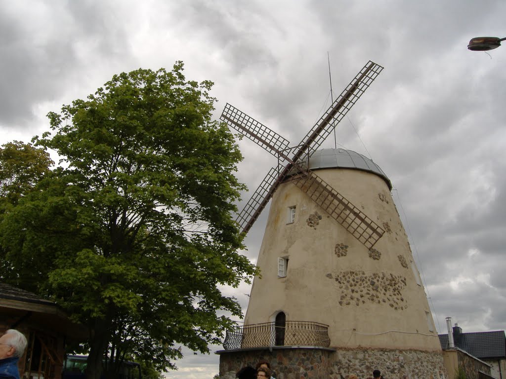 Seduva: Windmill by Angelo Mazzoli