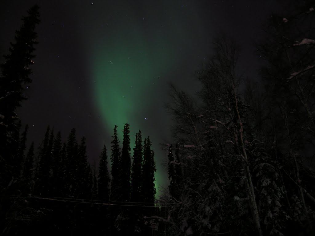 費爾班克斯極光 AURORA, FAIRBANKS, ALASKA by yang12