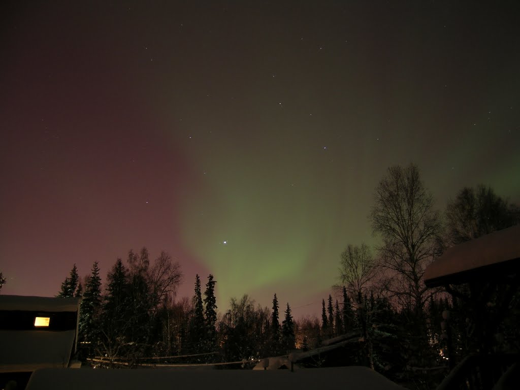 費爾班克斯極光 AURORA, FAIRBANKS, ALASKA by yang12