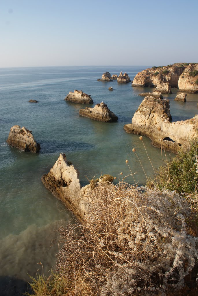 Praia do Vau by António Torres