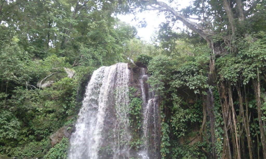 Kailash-Gufa(waterfall-AlaknandaGanga) Jaspur(36Garh) INDIA. by chhabirama