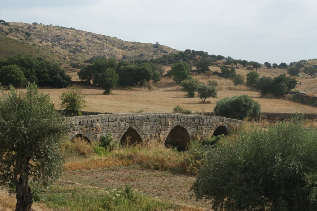 Ponte romana de Idanha-a-Velha by pedro magalhães