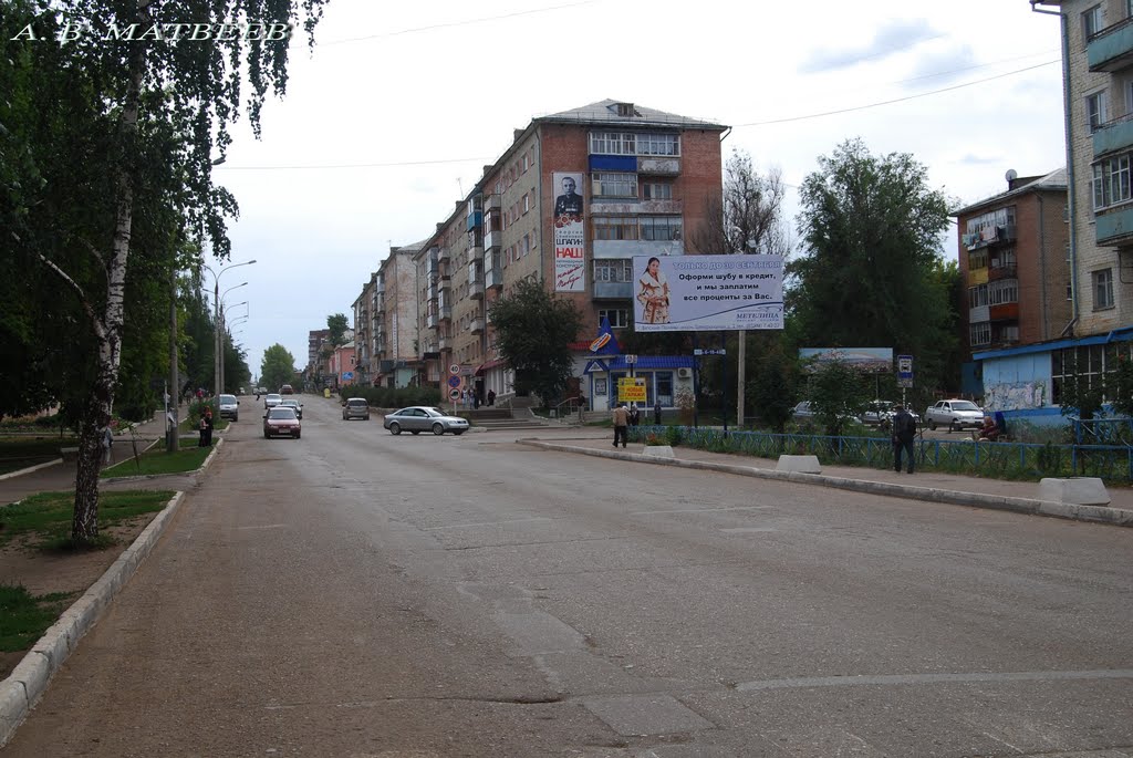 Вятские Поляны, ул. Гагарина/Vyatskiye Polyany, Gagarin st., 25.08.2010 by mav1818