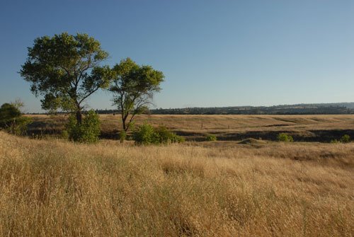 Chico Foothills 07/06 by RBMImage