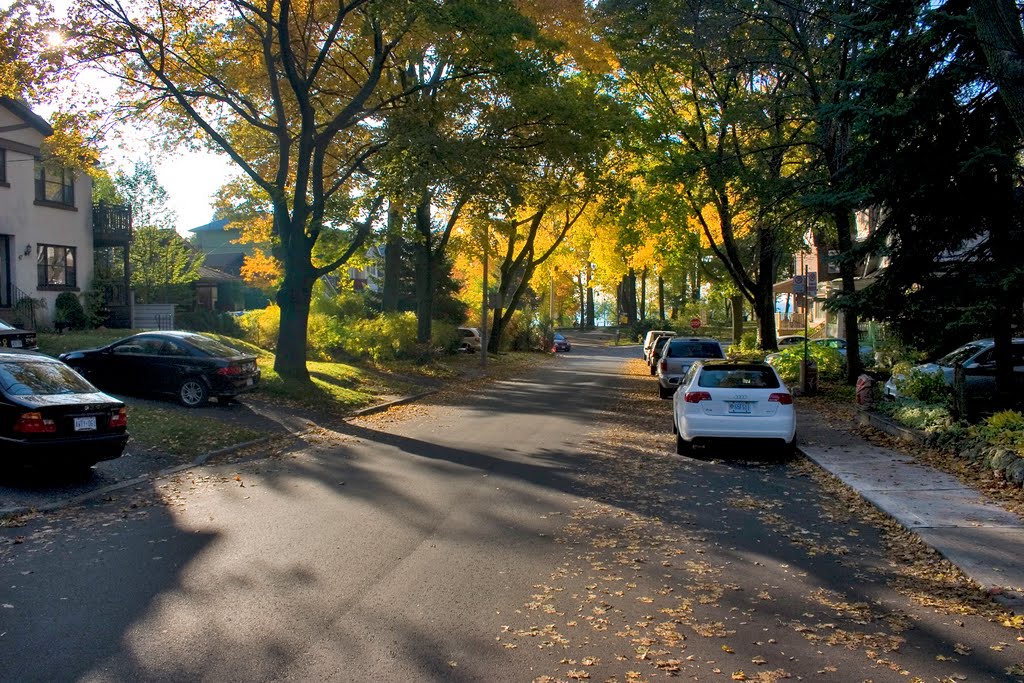 Willow Avenue Fall by gdavester