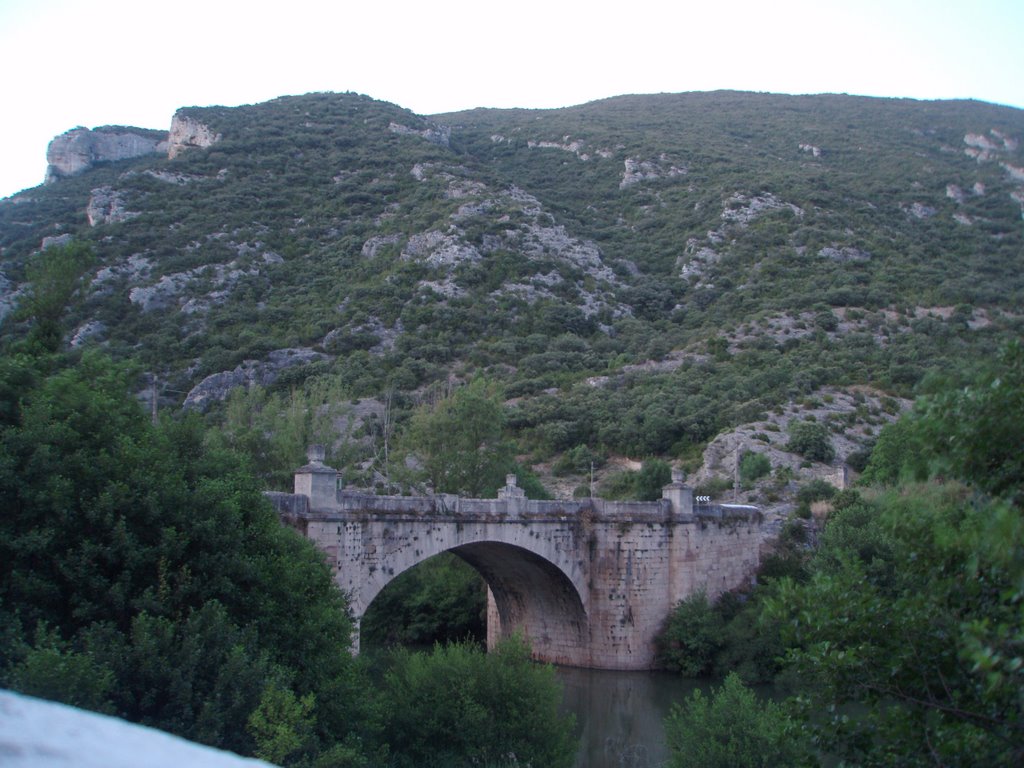 Puente de piedra de la N-232 sobre el Ebro by Yago, Valladolid