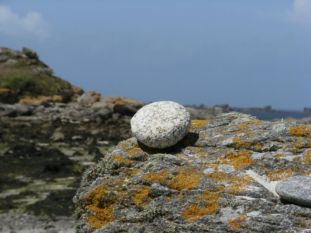 Galet sur rocher by Cécile29