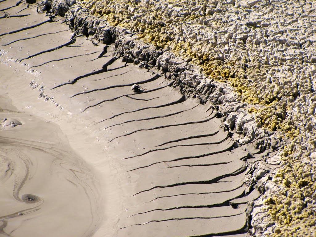 Mud cracks & Mud volcano - Yellowstone National Park, WY, USA. by André Bonacin