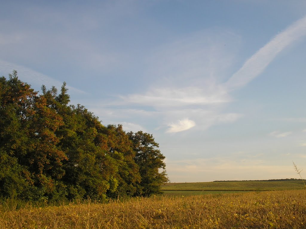 Bilotserkivs'kyi district, Kyivs'ka oblast, Ukraine by Тамара 777