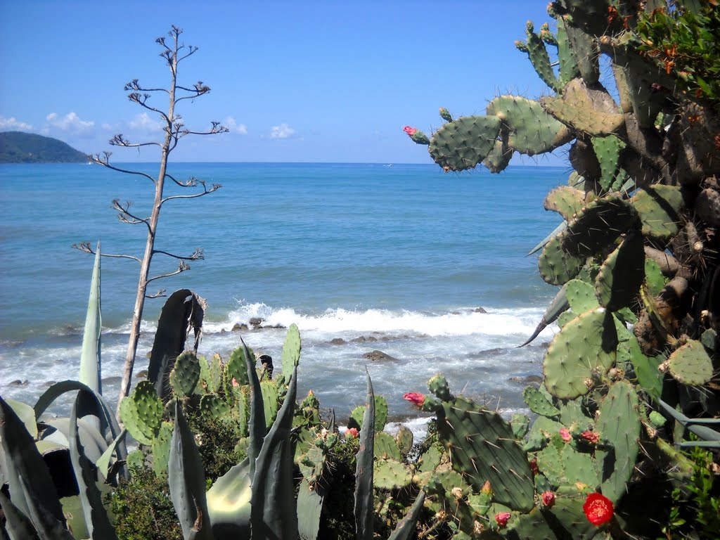 Agropoli - Agosto 2010 by The Red