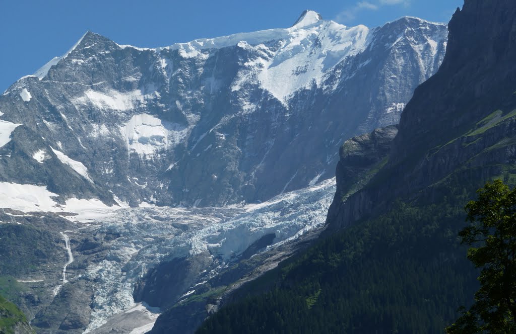 Grindelwald, Bern by Alejandra Lingg Garc…