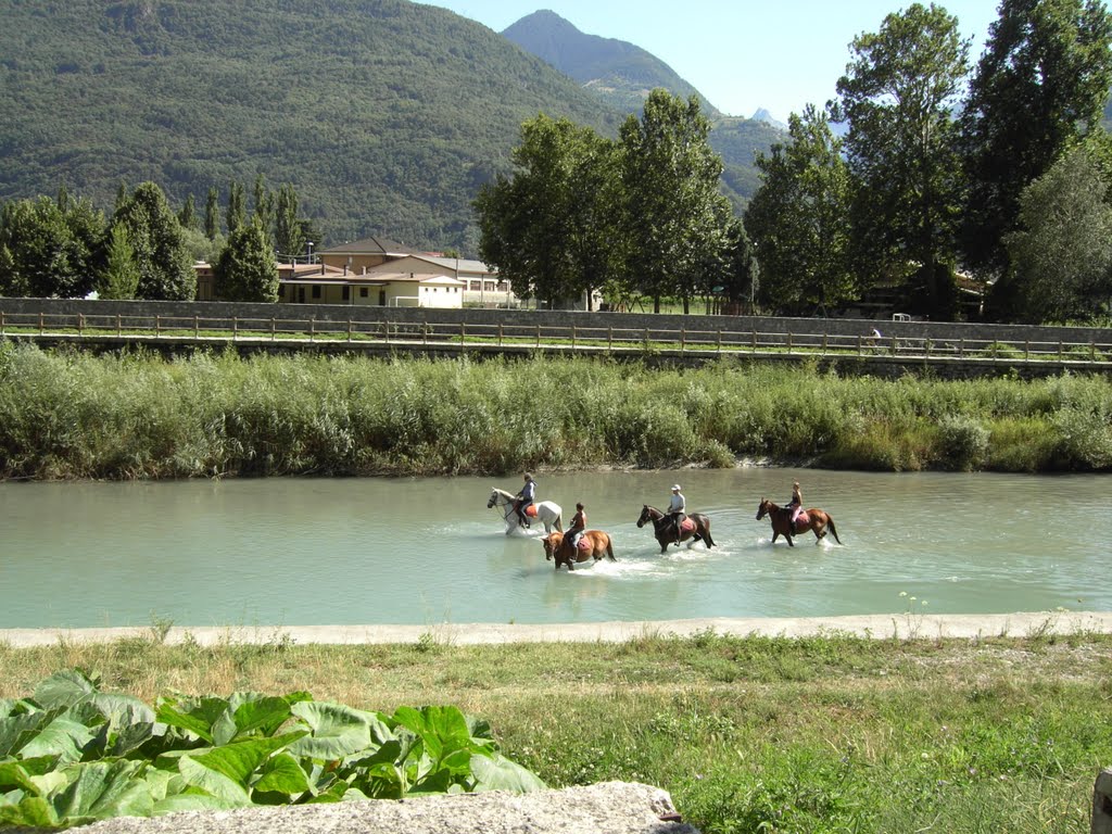 Morbegno cavalieri nell'Adda by morelli claudio