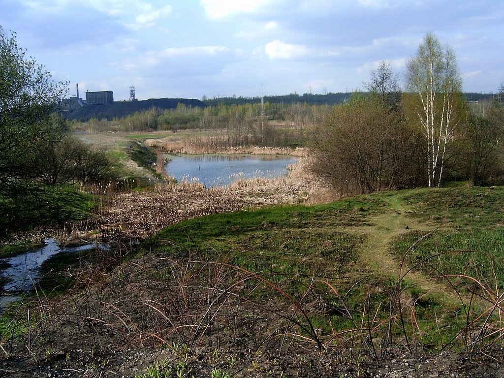 Kochłowice, Ruda Śląska, Poland by Korcymyk