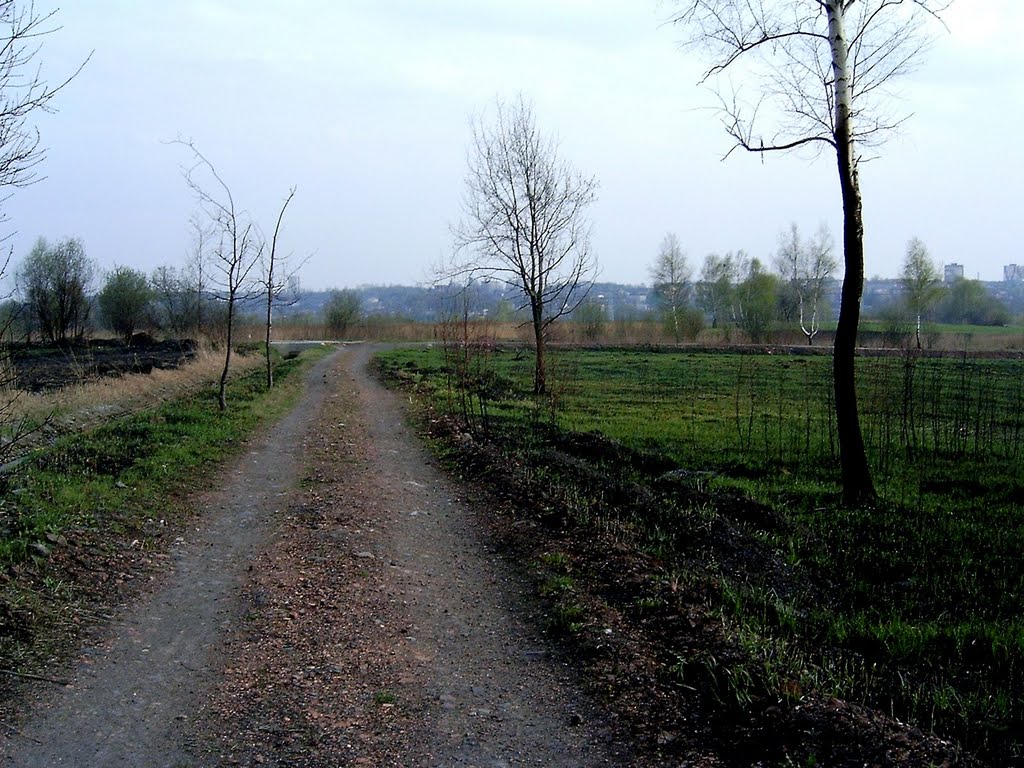 Kochłowice, Ruda Śląska, Poland by Korcymyk