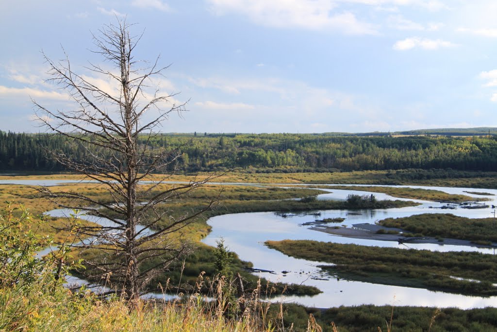 Weaselhead in Autumn by CapnLance