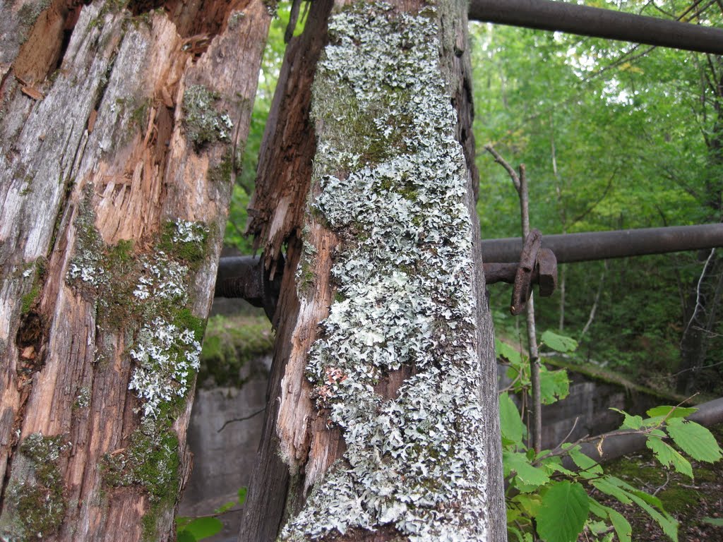 Railroad Tie Bolt by FearTheNoFear