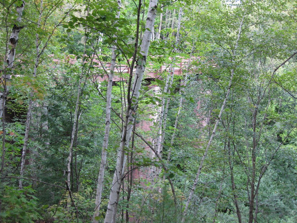 Quincy Gorge/Hunngarian Falls Bridge by FearTheNoFear