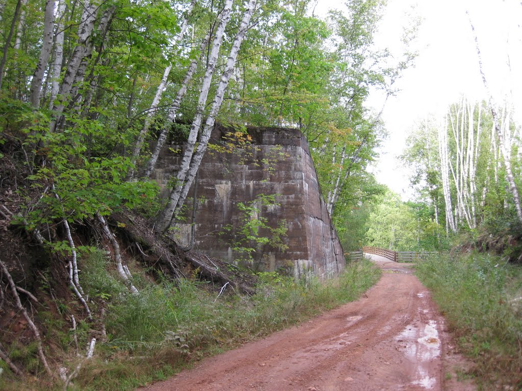 Underneath Cross-over with ORV Bridge in Background by FearTheNoFear