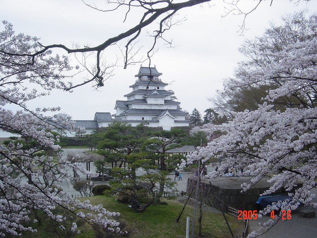 Tsuruga Castle by huds_n