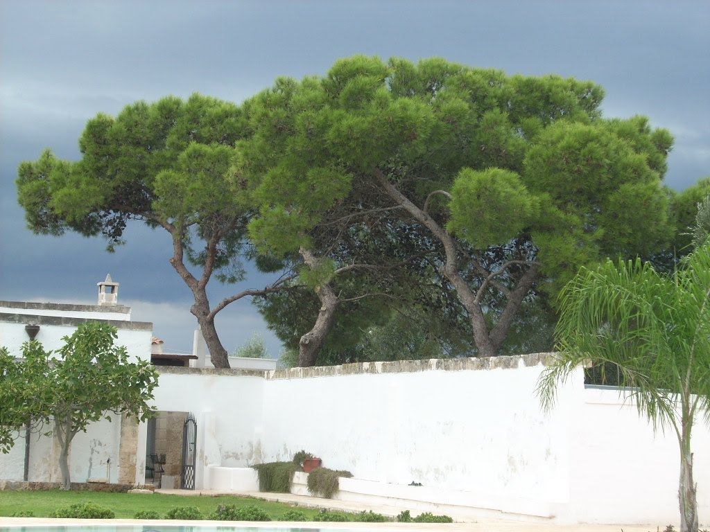 Masseria O'live, Ostuni, Italy by HazelWallis