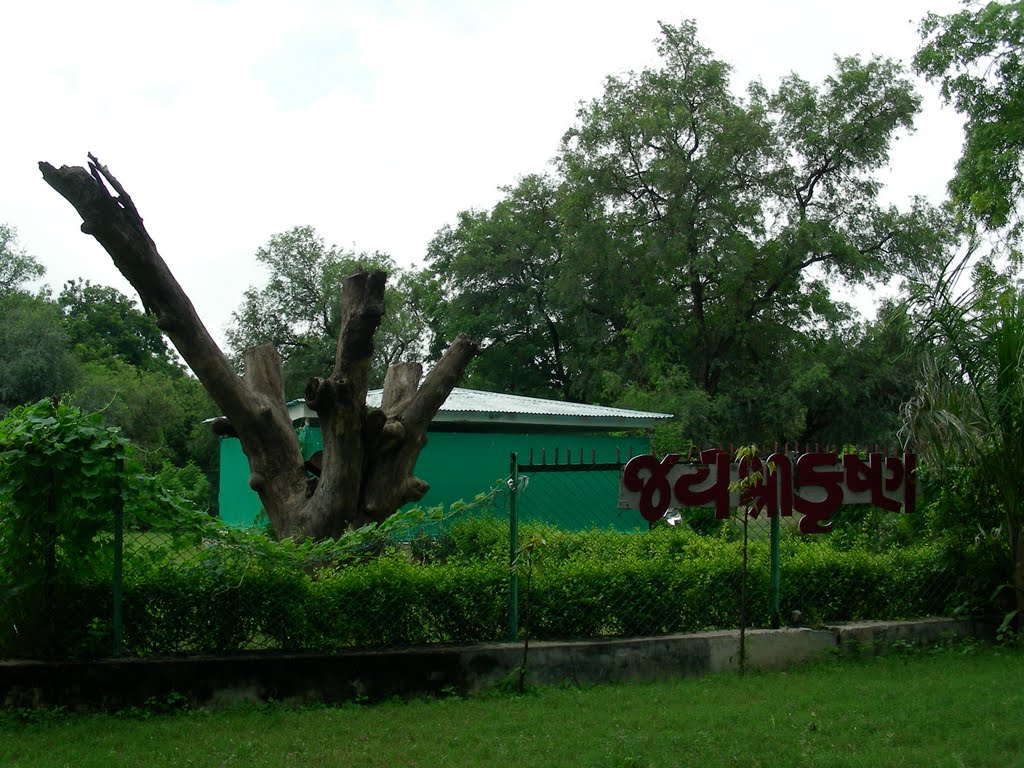 Sola Bhagwat Vidhyapidth (Ahmedabad) by http://www.bonrix.net