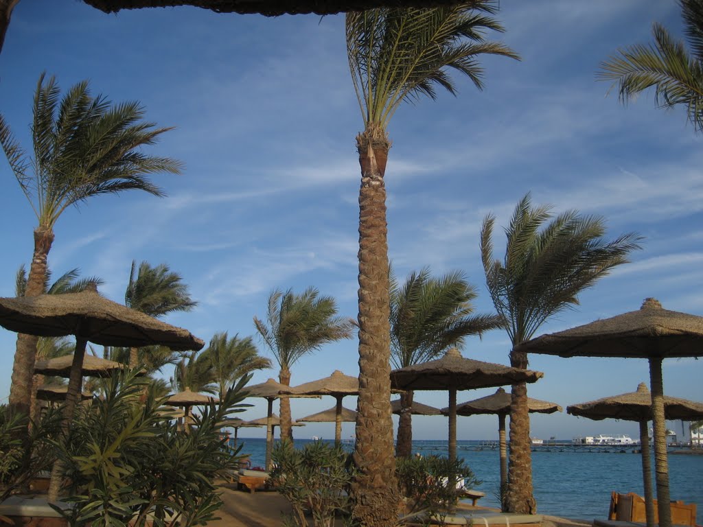 Lilly land Beach Club, Hurghada by vbif333