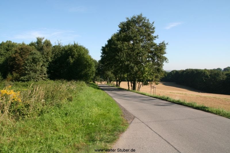 Podelwitz, Blick über die Felder 9/2010 by Walter Stuber