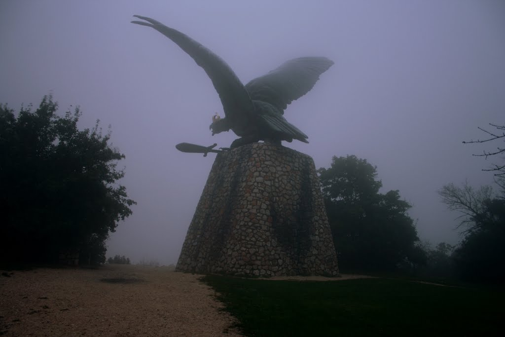 Tatabánya, Hungary by István Bercsényi