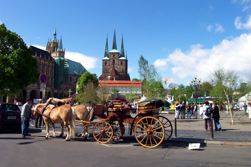 Erfurt mit Dom und Domplatz by erdhoernchen