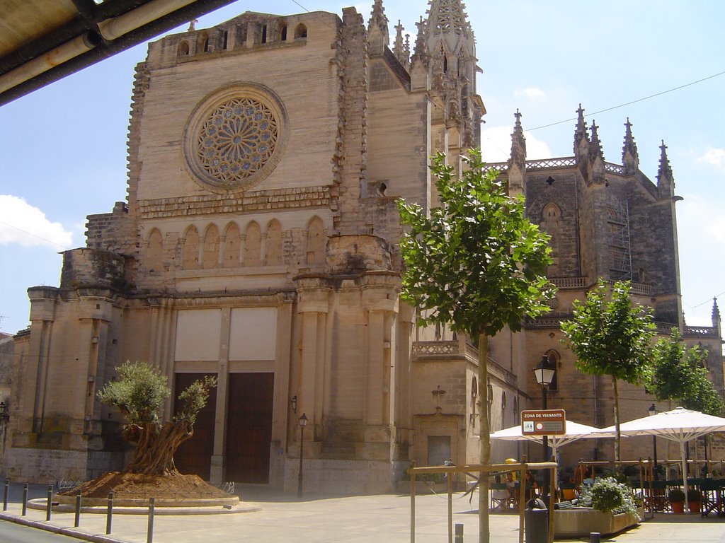 Catedral Manacor by alesand