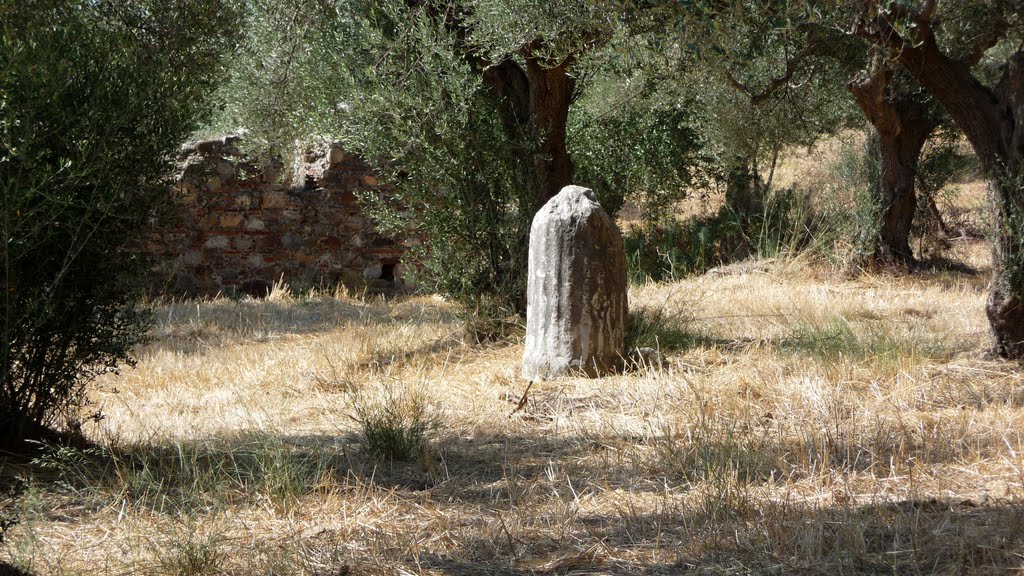 Ruins of ancient Sparta by Jan Madaras - outlan…