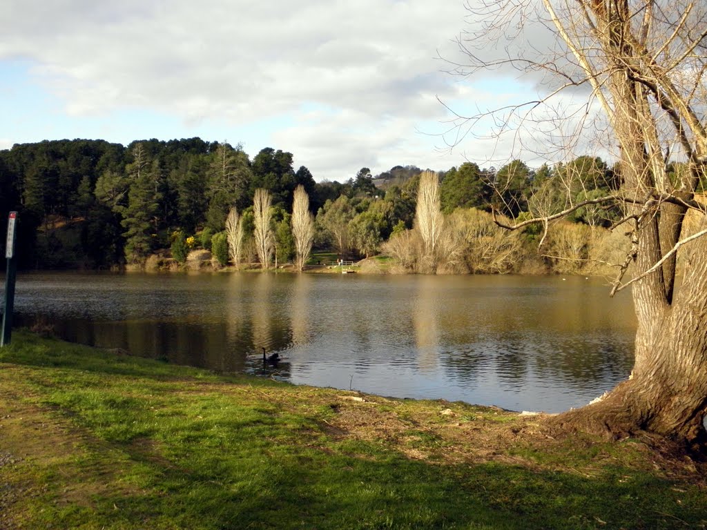 Lake Daylesford by lachlanngo