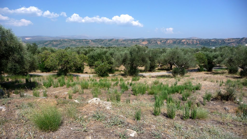 Countryside northeast from Sparta by Jan Madaras - outlan…