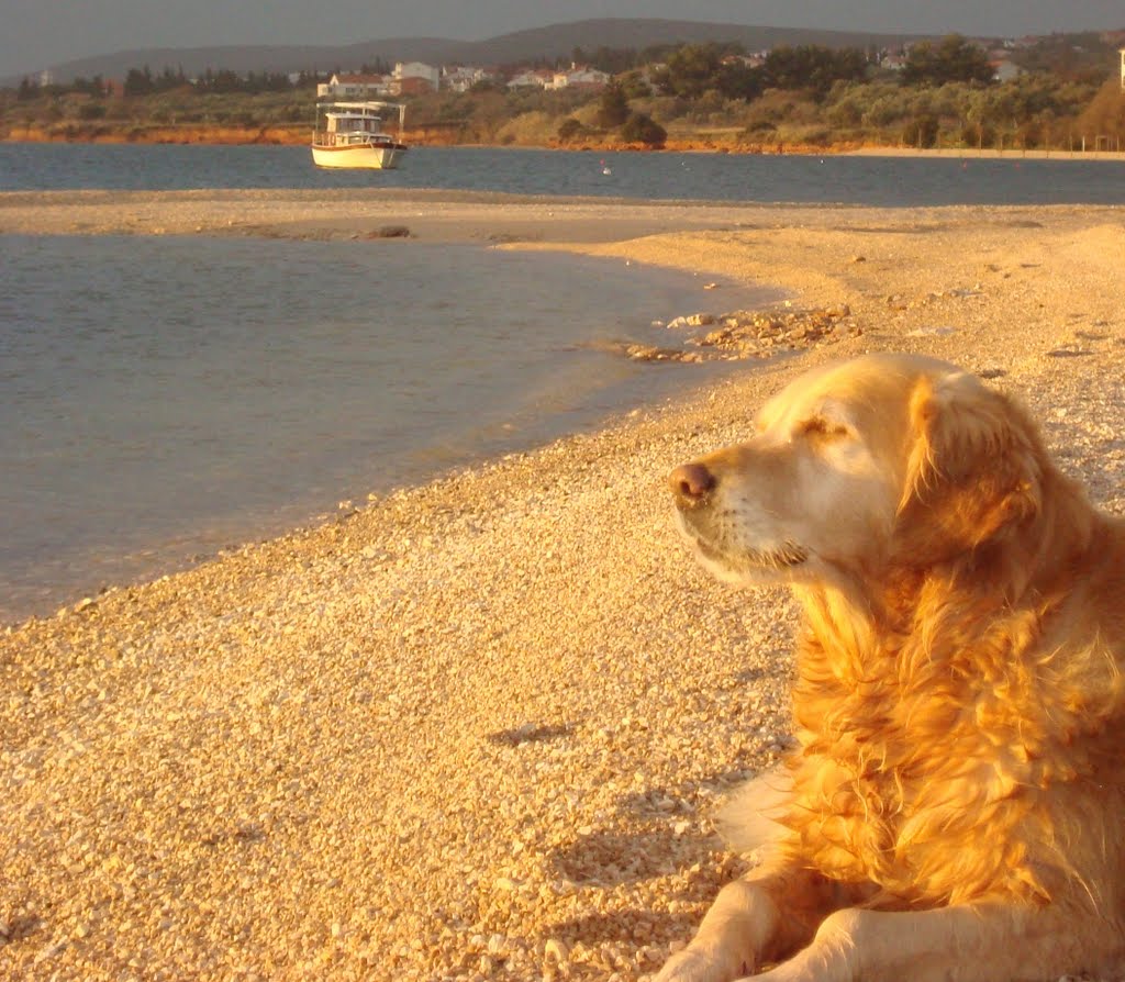 Bošana beach http://apartmanibiograd.blogspot.com/ by alifish