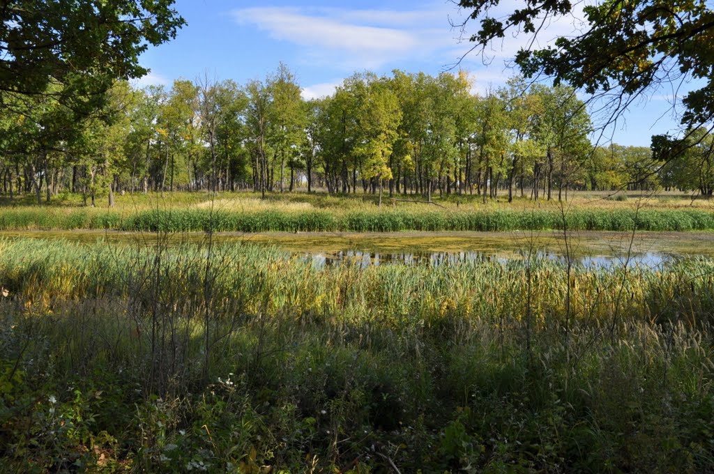 Volzhsky District, Samara Oblast, Russia by Victor Levin