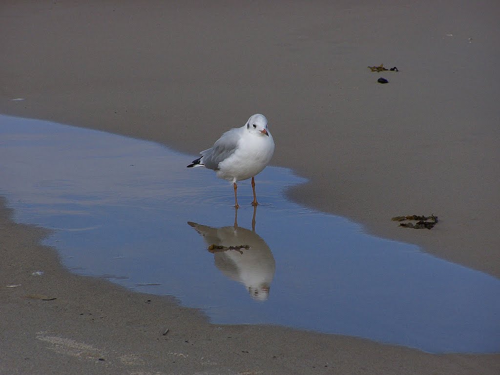 Na plaży by Gosia12