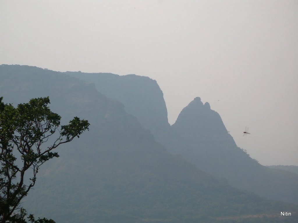 Chatur at Lord Point by Nitin Pednekar