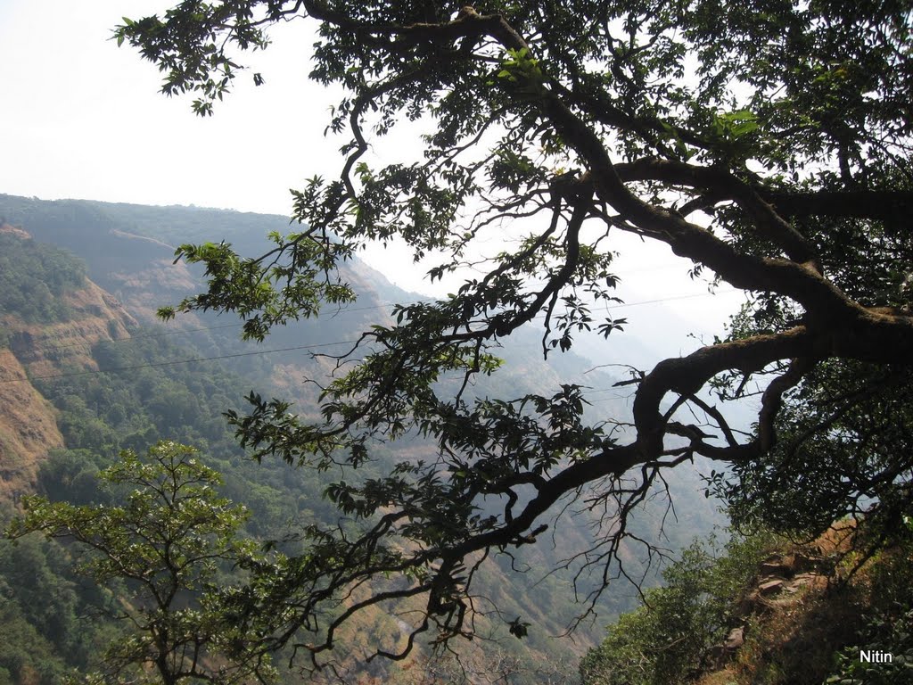 View from Moira Point by Nitin Pednekar