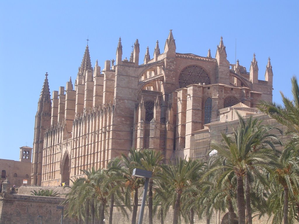 Catedral de Palma de Mallorca by alesand